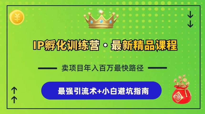 （13055期）IP孵化训练营，知识付费全流程+最强引流术+小白避坑指南