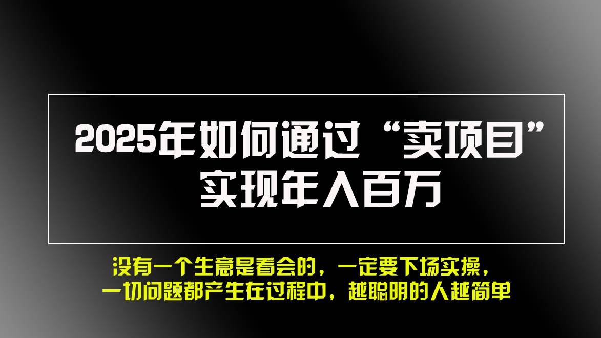 （13468期）2025年如何通过“卖项目”实现年入百万，做网赚必看！！