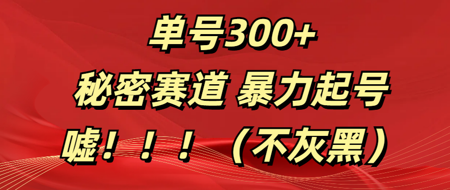 单号300+  秘密赛道 暴力起号  （不灰黑）