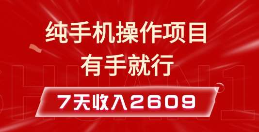 纯手机操作的小项目，有手就能做，7天收入2609+实操教程【揭秘】