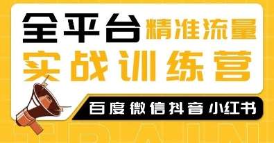 全平台精准流量实战训练营，百度微信抖音小红书SEO引流教程