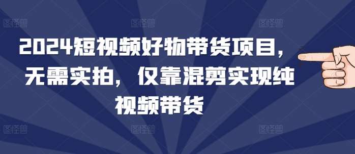 2024短视频好物带货项目，无需实拍，仅靠混剪实现纯视频带货